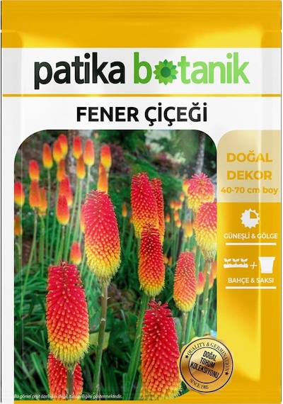 50 Adet Fener Çiçeği Tohumu