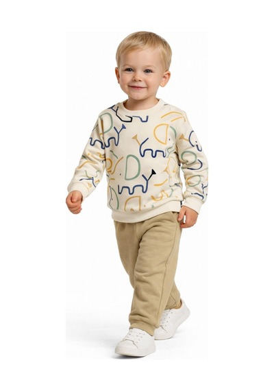 Baglan Erkek Çocuk Önü Baskılı Sweatshirt Ve Eşofman Alt Takım Bgl-st05254 Camel
