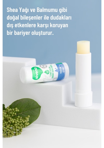Siveno %100 Doğal Dudak Koruyucu Yoğun Etki Bitkisel Lip Balm Krem Nemlendirici Parlatıcı Onarıcı 6 G