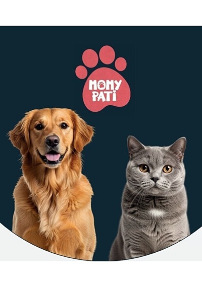 Momy Pati Tavuklu Kedi Maması 15 Kg Yetişkin Kediler Için