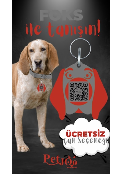 Petjoo 29.Foks Kırmızı-Gri Qr'lı Köpek Künyesi