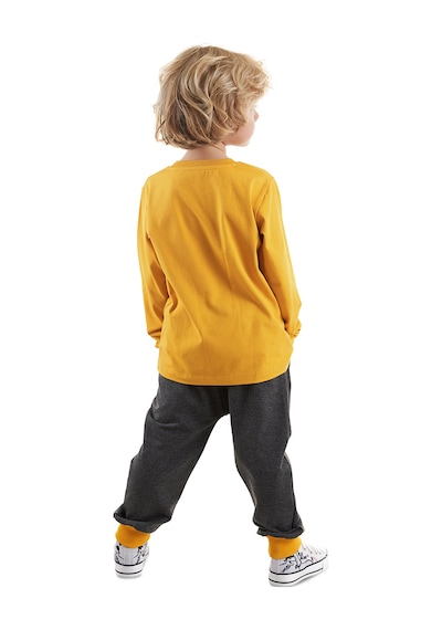 Denokids Cool Dinolar Erkek Çocuk T-shirt Pantolon Takım Çok Renkli