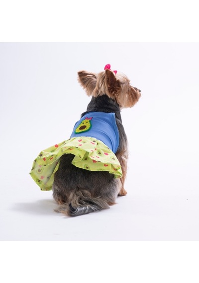 Avo Bliss Denim Avokado Desenli Kot Kedi Köpek Elbisesi - Kedi Köpek Kıyafeti
