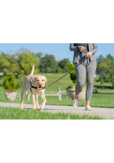 Tr Premier Easy Walk Köpek Koşum Takımı, Siyah/gri, Boyut L Genel
