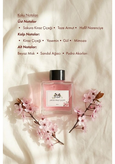 Japon Kiraz Çiçeği Çubuklu Oda Kokusu 100 Ml Diğer