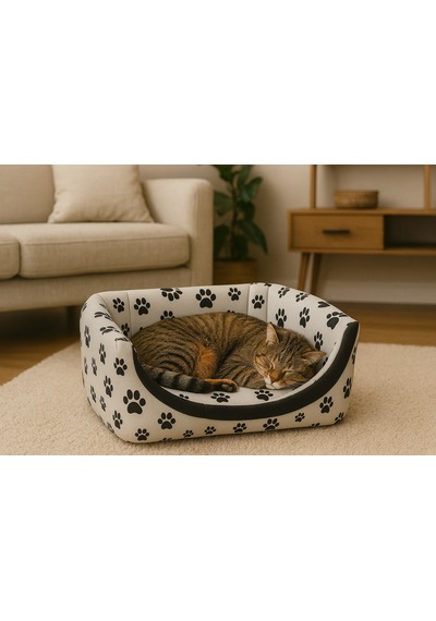 3 Fonksiyonlu Kedi Evi