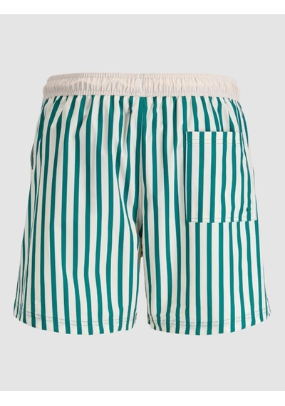 Jack & Jones Jack Jones Erkek Çizgili Deniz Şortu 12291511 Yeşil