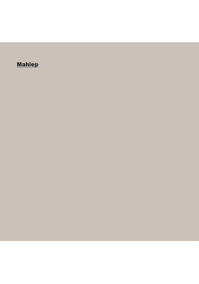 Marshall Su Bazlı Panel Kapı Boyası Mahlep 1l