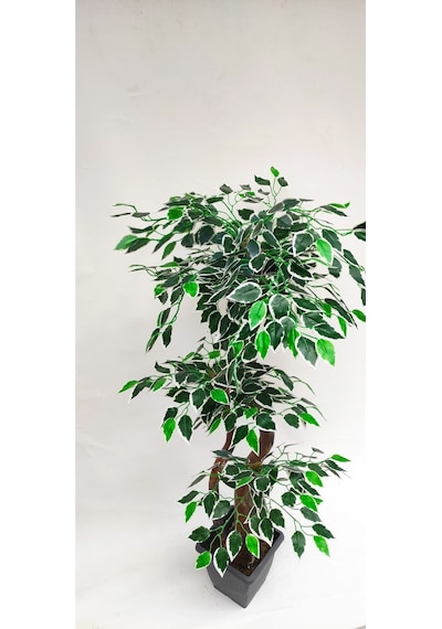Rüzgar Yapay Çiçeçilik 150 Cm Ficus Ağacı Yeşil