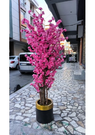 Rüzgar Yapay Çiçekçilik 140 Cm 25x25 Saksıda Pembe Bahardalı Pembe