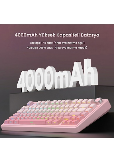 Aula F75 Mekanik Rgb Tkl Sessiz Cotton Candy Switch Kablosuz Makrolu Hot Swap Klavye Pembe