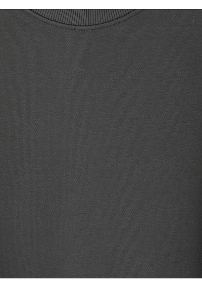Lcw Vision Gri Bisiklet Yaka Erkek Kalın Sweatshirt