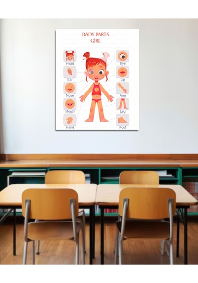 Vücut Bölümleri Poster İngilizce Pvc Kaplı 30x42 Cm Kız Çok Renkli