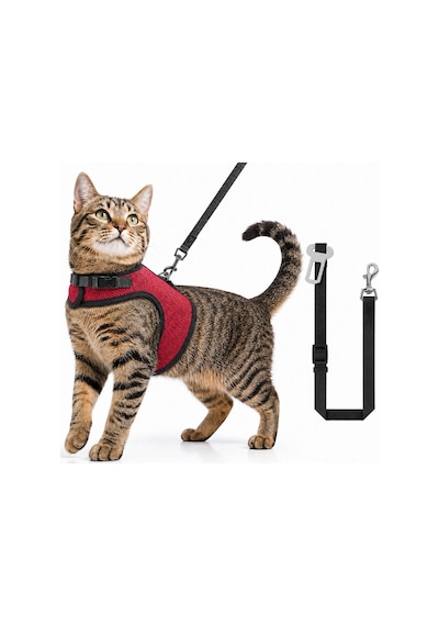 Kaçış Önleyici Kedi Gezdirme Tasması Ve Küçük Irk Köpek Gezdirme Tasması Kedi Göğüs Tasması Set Kırmızı