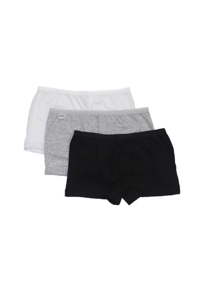 Essaiçgiyim  3'lü 6'lı 12'li Paket Gümüş 3016 Likralı Renkli Bayan Boxer - 457328971