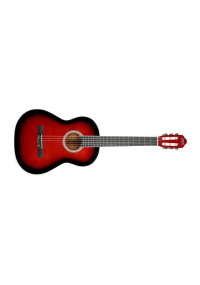 Dmx Guitars 36 Rd Klasik Gitar Taşıma Çantası Hediyeli