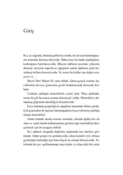 Kurt Gölü - Edebiyat Romanı, Gizemli Olaylar