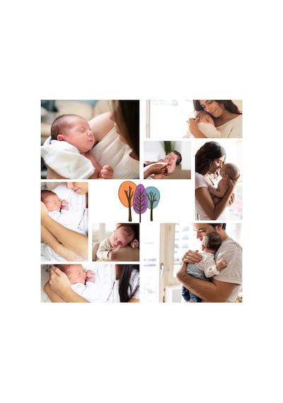 Salvıa Dıone 6'li Müslin Bebek Ağız Bezi Pamuk Soft Yumuşak Ağız Temizleme Ve Silme Mendili Anne Bebek Bakım Mend Genel