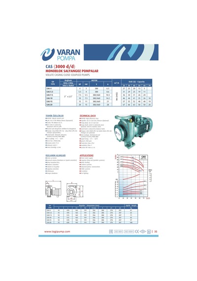 Varan Cas 20 Monoblok Uçtan Emişli Santrifüj Pompa 20 Hp / 15 Kw, Trifaze 380 V, 67 Mss, 70 M3/h