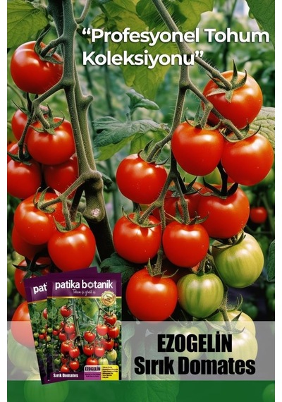 10 Adet Ezogelin Kiraz/cherry Domates Tohumu-sırık