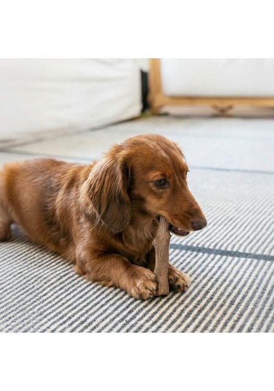 Petstages Kızılcık Ahşap Alternatif Köpek Çiğneme Oyuncağı, Küçük
