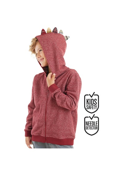 Ejderha Erkek Çocuk Kapişonlu Sweatshirt