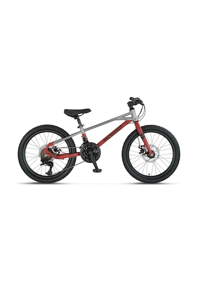 Mosso Demarch M-20-md Erkek Çocuk Bisikleti 228h 20 Jant 21 Vites Grey Red Çok Renkli
