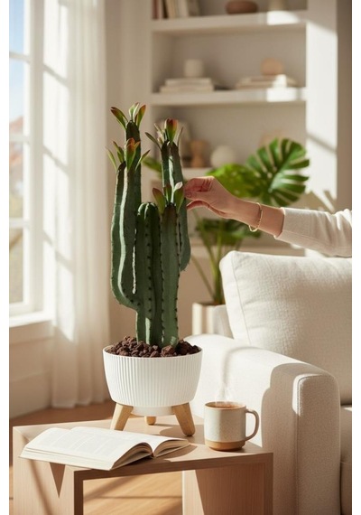 Yapay Kaktüs 4 Kollu Yapraklı Model Zigon Saksıda Yapay Bitki 70cm Yeşil