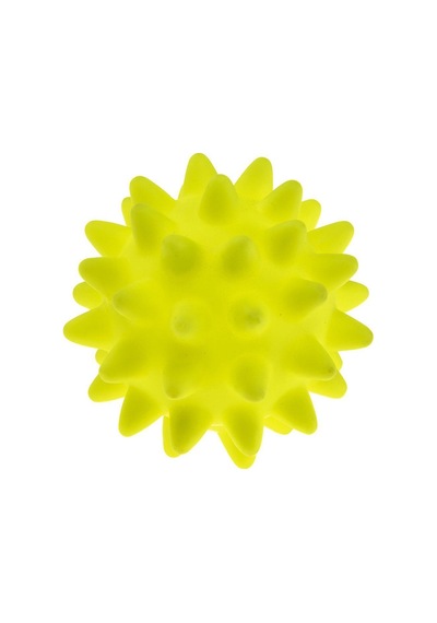 Ferplast Pa 6015 Spinny Top Oyuncak 6 CM
