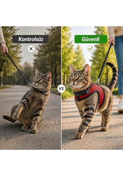 Heads Up For Tails Tahılsız Kuzu Etli Ve Yaban Mersinli Yetişkin Kedi Sı 5 Kg 100 G