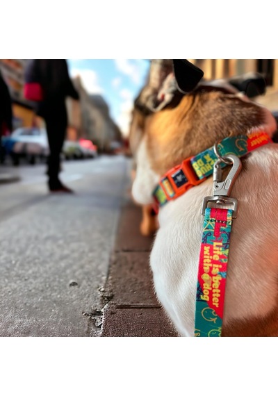 Desıgn, Recycled, Köpek Gezdirme Kayışı Yeşil,geri Dönüştürülmüş, Kadifemsi Dokulu, Çift Kilitli Karabina Kanca, 360 Dönüşlü
