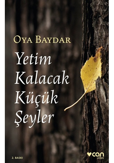 Yetim Kalacak Küçük Şeyler - Oya Baydar - Can Yayınları