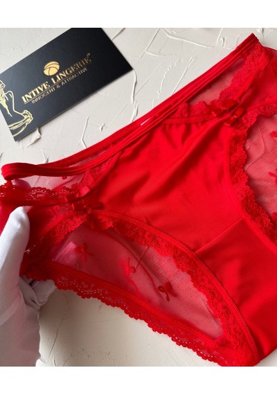 Arya Japon Style Arkası Tül Cut-out Dantel Detaylı Cheeky Külot/s Kırmızı