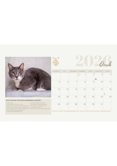 Pet Sitter Istanbul 2026 Takvim, Kurtarılan Kediler Ve Farkındalık Günleri, Evcil Hayvan Tatilleri Temalı Masa Takvimi Çok Renkli