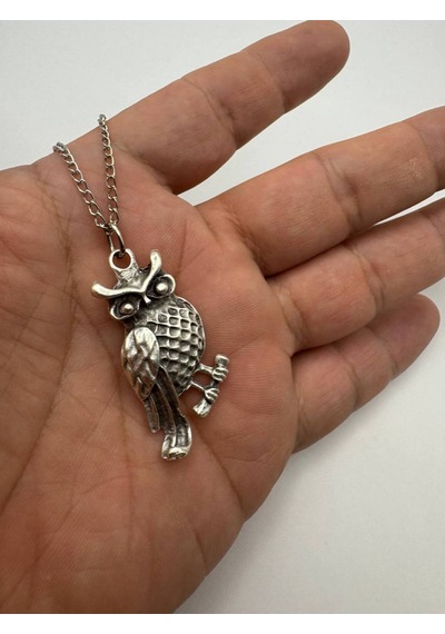 İşlemeli Minimal Baykuş Figürlü Unisex Kolye Zarif, Anlamlı Ve Günlük Kullanıma Uygun Tasarım Çok renkli