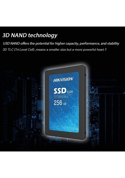 Ssd E100 256g Ssd E100 256g Standart