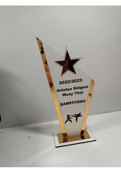 Plaket Karete/boks/judo/muay Thai Turnuvalarına Özel Altın