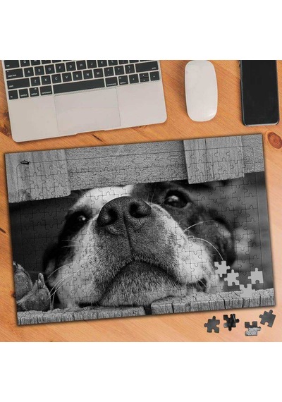 Gri Renkte Sevimli Köpek 240 Parça Puzzle Yapboz-75468