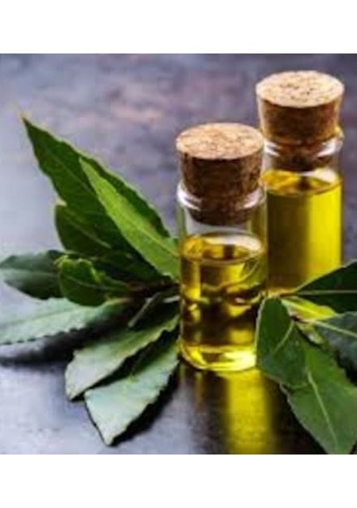 Defne Yaprağı Yağı 20 ML