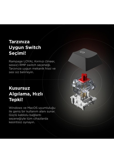 Loyal Usb Hot Swap Rgb Red Switch Mekanik Gaming Oyuncu Klavye Beyaz/gri