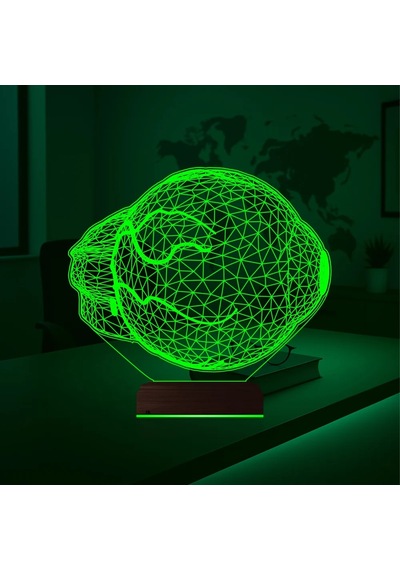 Luvivia Göz Doktoru Hediye 3d Lamba - Masa Gece Lambası Şeffaf
