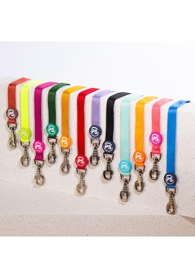 Pawstar Mint Leash Kedi Köpek Sevk & Gezdirme Kayışı Köpek Uzatma Tasması Mint