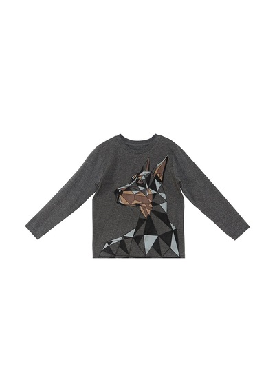 Denokids Mshb&g Doberman Erkek Çocuk T-shirt Pantolon Takım Çok Renkli