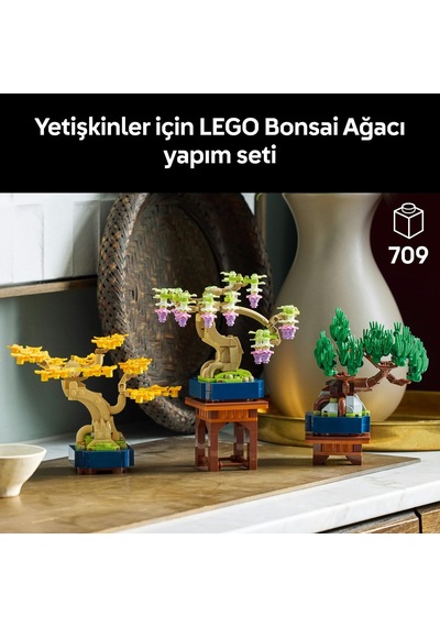 Botanicals Mini Bonsai Ağaçları 10373 Bitki Tutkunu Yetişkinler İçin Ginkgo, Wisteria Ve Siyah Çam Ağaçlarından Oluşan Dekoratif Bitki Modeli, Yaratıcı Hediye Fikri 709 Parça
