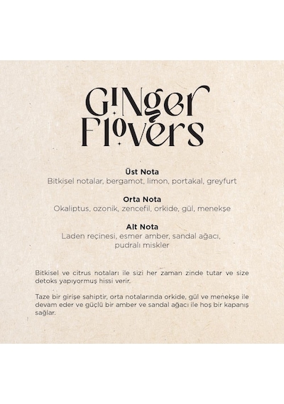 Carpex E2 Power Eco Koku Makinesi + Ginger Flowers E2 Power Koku Kartuşu 125 ML