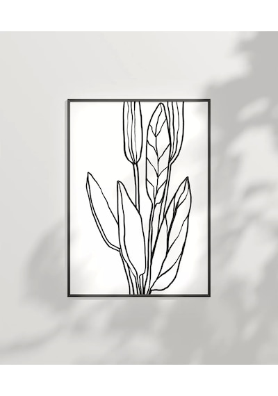 Çerçevesiz Poster Soyut Bitki Formları Grafik Sanat