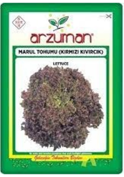 1 Paket Kırmızı Kıvırcık Marul Tohumu Organik Hasat