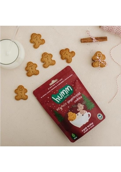Bezos Organik Zencefilli Ve Tarçınlı Vegan Kurabiye 55 Gr Nıda