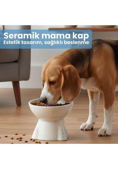 Seramik Mama Kabı - Kedi Ve Köpekler İçin Sağlıklı Mama Kasesi - Yükseltilmiş, Ayaklı Mama Kabı Mavi