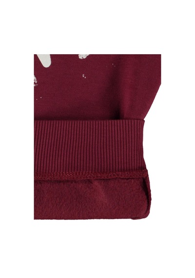 Silversun Kids Silversun Ocean Baskılı 8-13 Yaş Sweatshirt - Bordo